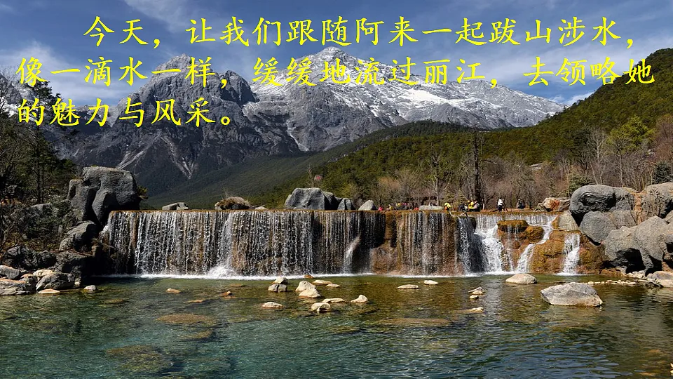 17824169第3页