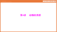 第一部分 主题二 第4讲 动物的类群-课件 2026年广东中考生物一轮复习(含答案解析）