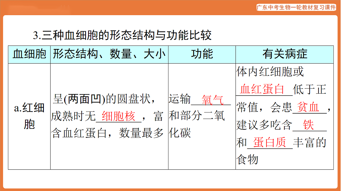 第一部分 主题五 第13讲 人体内物质的运输-课件 2026年广东中考生物一轮复习(含答案解析)第5页