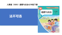 初中政治 (道德与法治)人教版（2024）七年级下册（2024）法不可违教学课件ppt