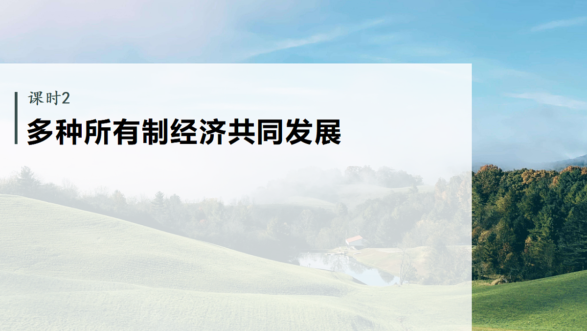 高考政治一轮复习课件-多种所有制经济共同发展第1页
