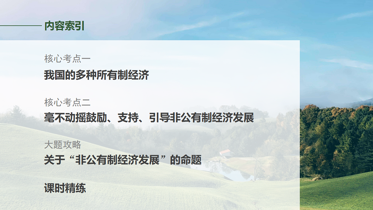 高考政治一轮复习课件-多种所有制经济共同发展第2页