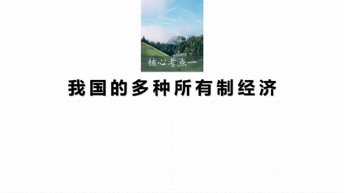 高考政治一轮复习课件-多种所有制经济共同发展第3页
