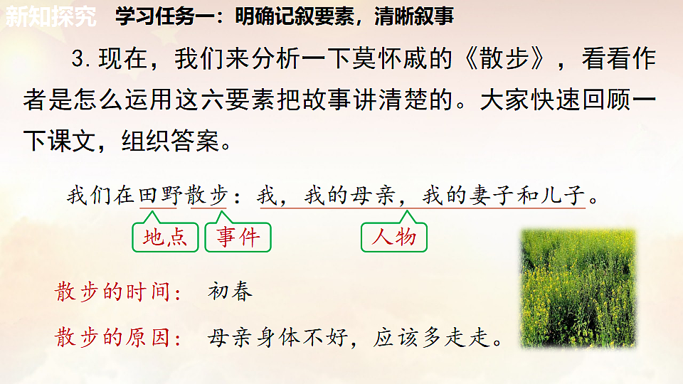 17826494第8页