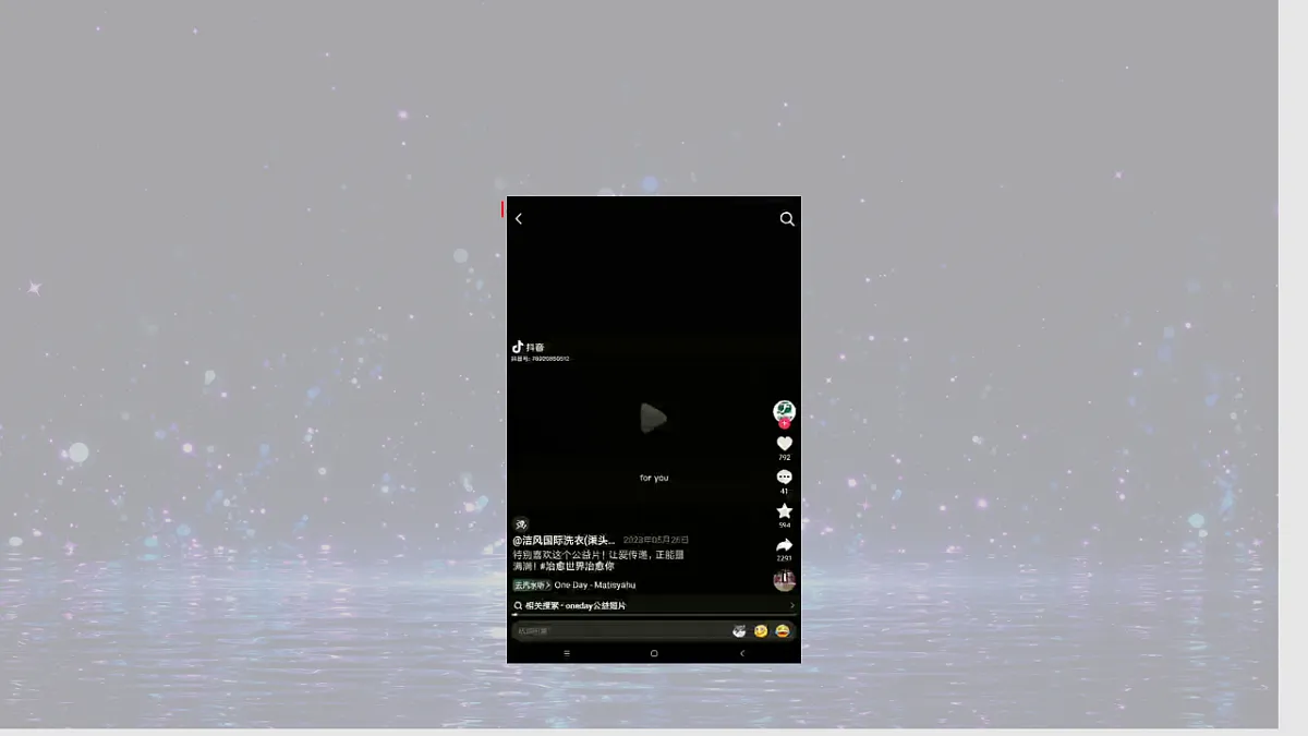 17826502第4页