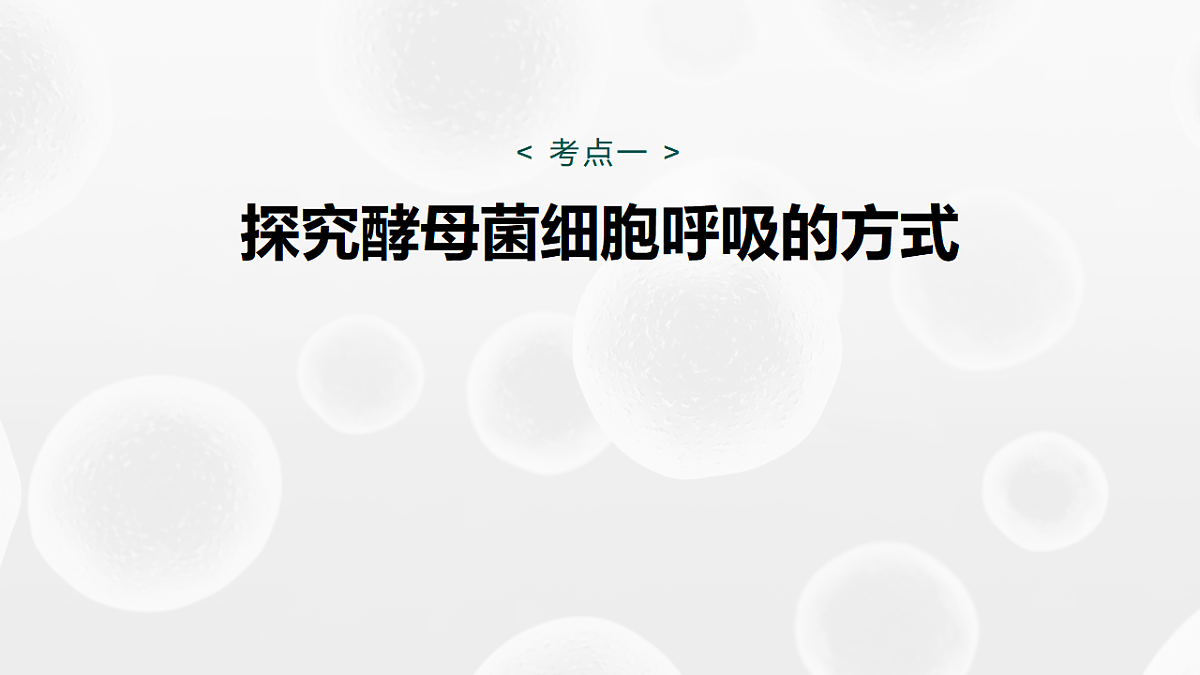 高考生物一轮复习课件-细胞呼吸的原理和应用第4页