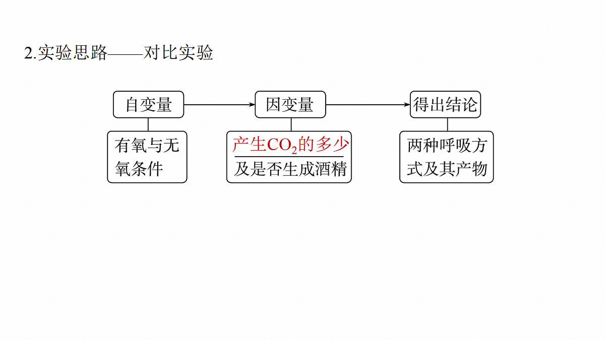 高考生物一轮复习课件-细胞呼吸的原理和应用第6页
