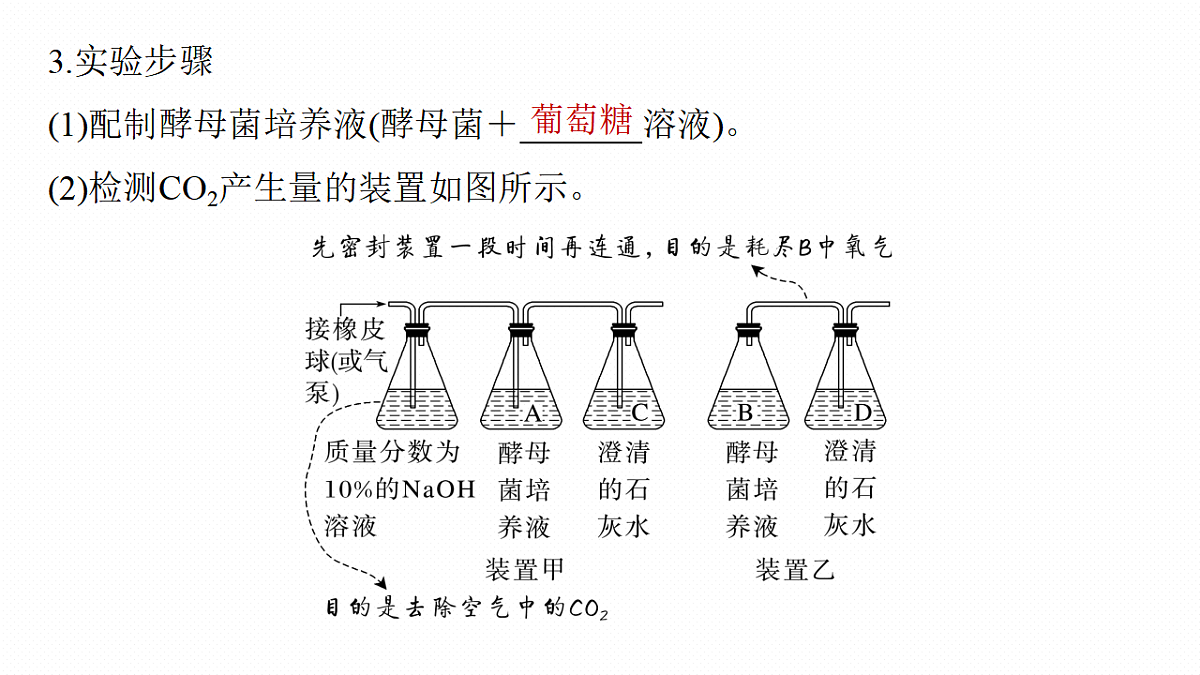高考生物一轮复习课件-细胞呼吸的原理和应用第8页