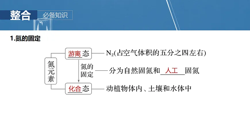 2026高三化学(人教版)一轮复习课件 第五章 第22讲 氮及其氧化物 硝酸(含答案)第5页