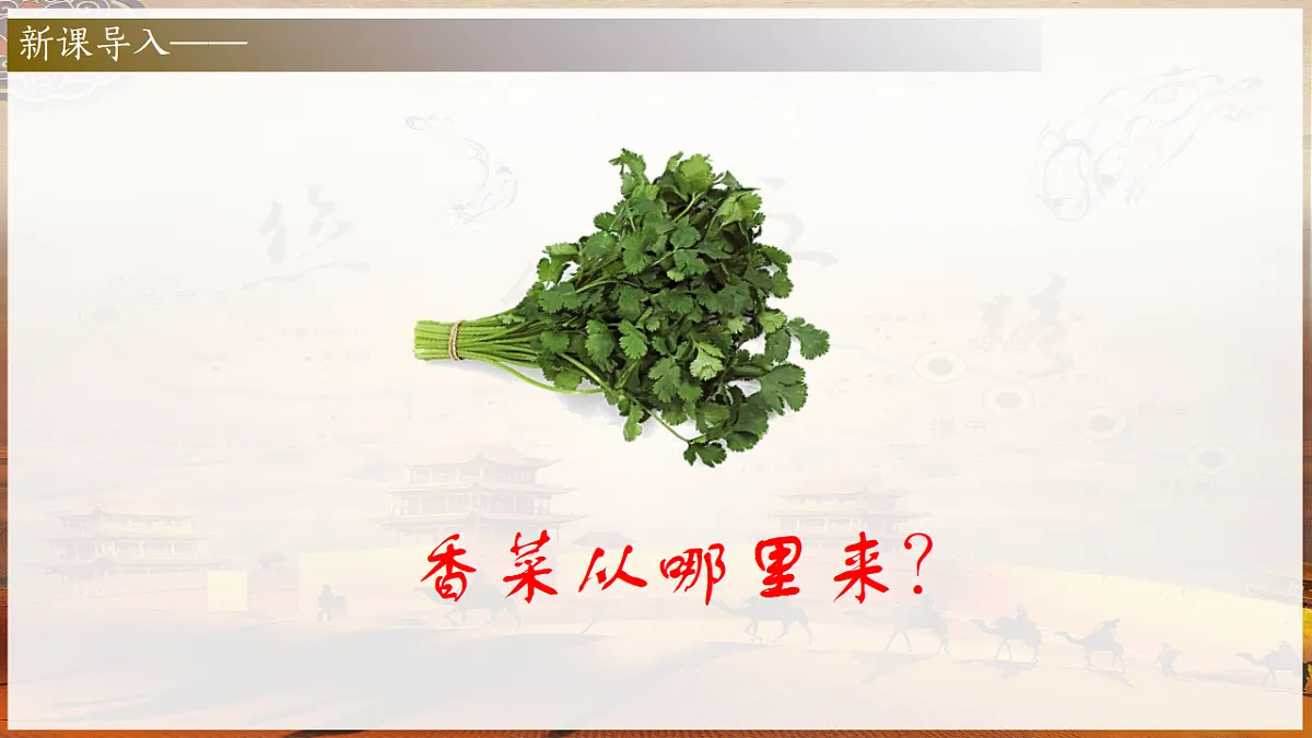 17831077第1页