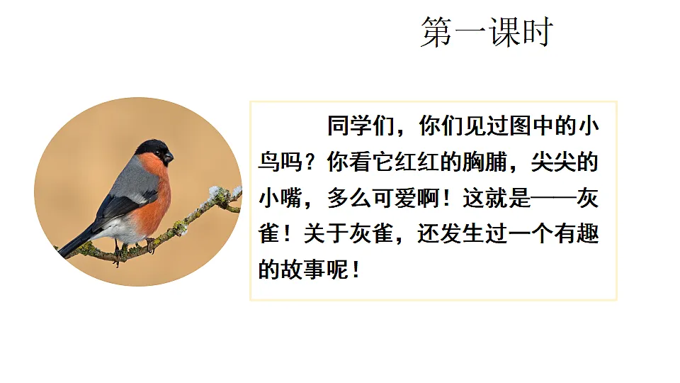 20 灰雀 课件2025-2026学年度统编版语文三年级下册第2页