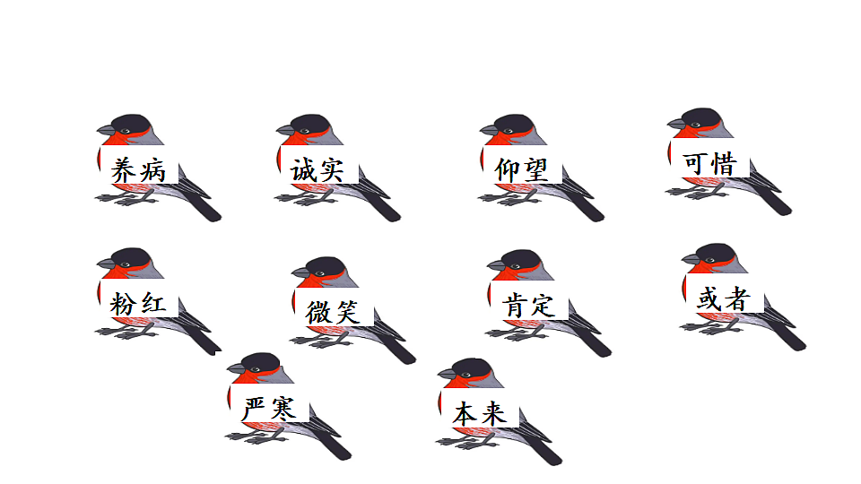 20 灰雀 课件2025-2026学年度统编版语文三年级下册第6页