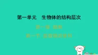 初中生物冀少版（2024）七年级上册（2024）细胞的形态习题ppt课件