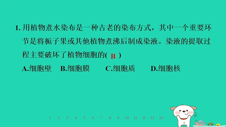 2025七年级生物上册第一单元生物体的结构层次第一章细胞第四节细胞的生命活动习题课件冀少版(含答案)第3页