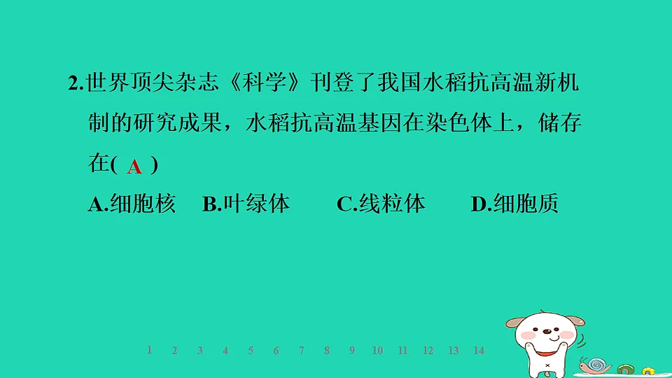 2025七年级生物上册第一单元生物体的结构层次第一章细胞第四节细胞的生命活动习题课件冀少版(含答案)第4页