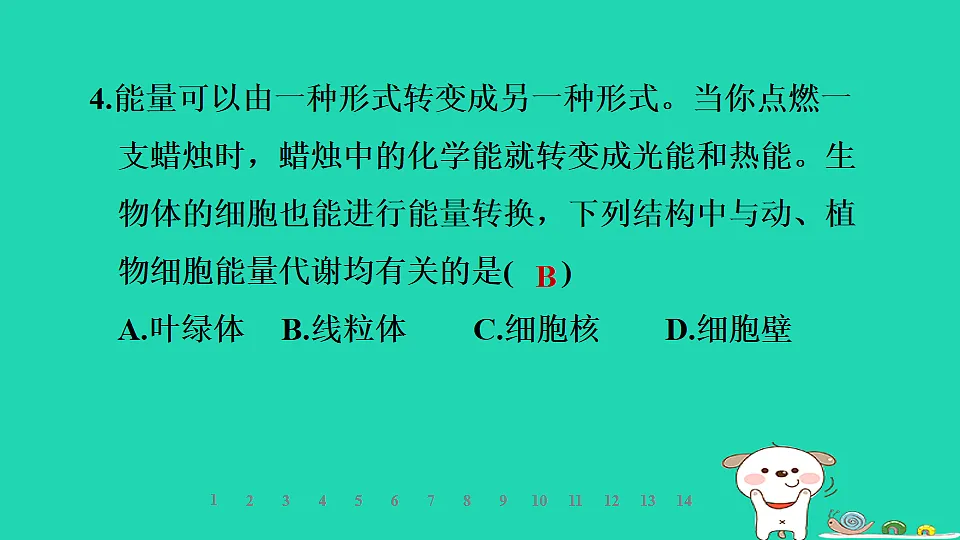 2025七年级生物上册第一单元生物体的结构层次第一章细胞第四节细胞的生命活动习题课件冀少版(含答案)第6页
