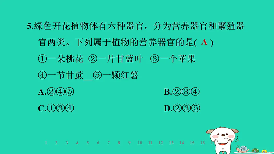 2025七年级生物上册第一单元生物体的结构层次第二章组织器官系统和生物体第三节器官和系统习题课件冀少版(含答案)第7页