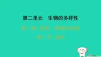 初中生物冀少版(2024)七年级上册(2024)藻类习题课件ppt