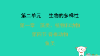 冀少版（2024）七年级上册（2024）脊椎动物习题课件ppt