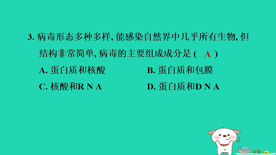 2025七年级生物上册第二单元生物的多样性第二章微生物第一节病毒习题课件冀少版(含答案)第5页