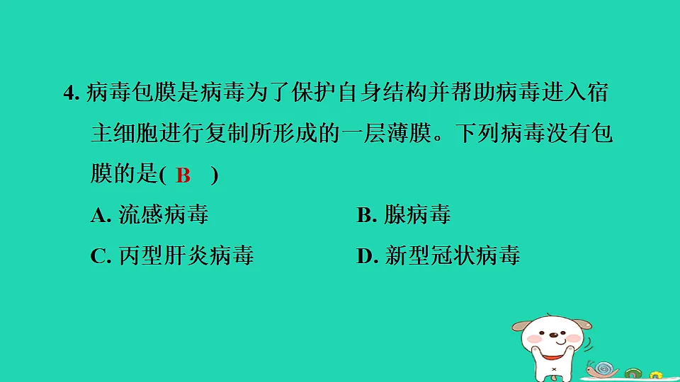2025七年级生物上册第二单元生物的多样性第二章微生物第一节病毒习题课件冀少版(含答案)第6页
