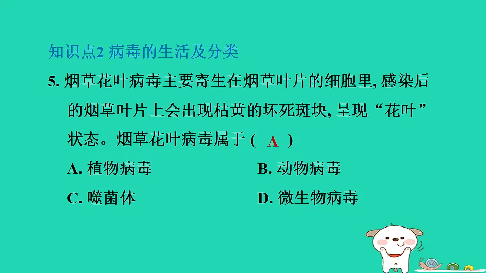 2025七年级生物上册第二单元生物的多样性第二章微生物第一节病毒习题课件冀少版(含答案)第7页