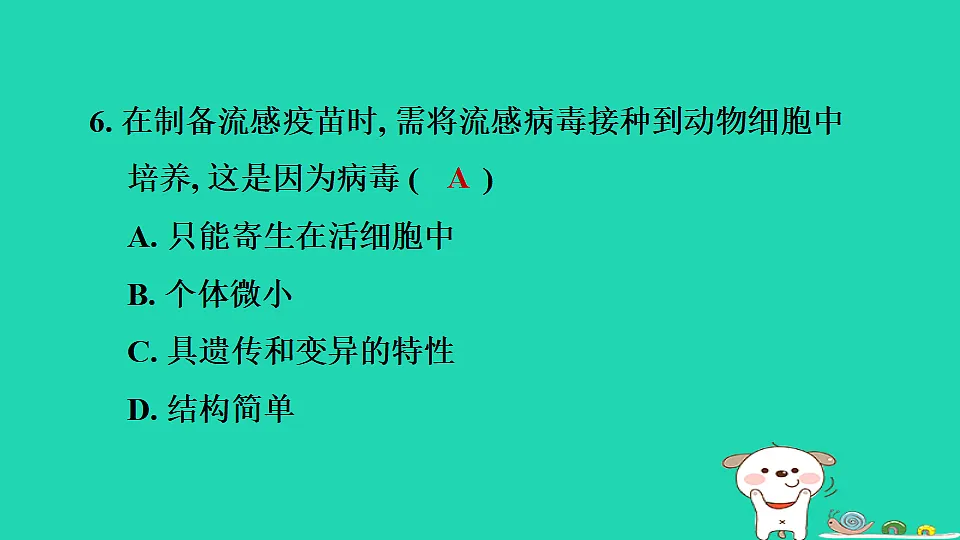 2025七年级生物上册第二单元生物的多样性第二章微生物第一节病毒习题课件冀少版(含答案)第8页