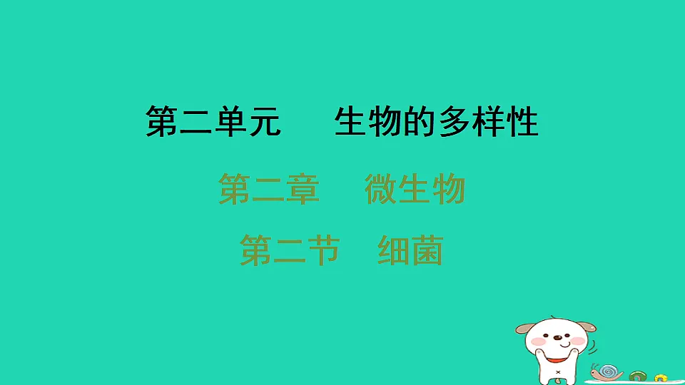 2025七年级生物上册第二单元生物的多样性第二章微生物第二节细菌习题课件冀少版(含答案)第1页