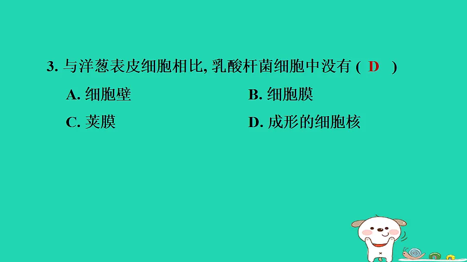 2025七年级生物上册第二单元生物的多样性第二章微生物第二节细菌习题课件冀少版(含答案)第5页
