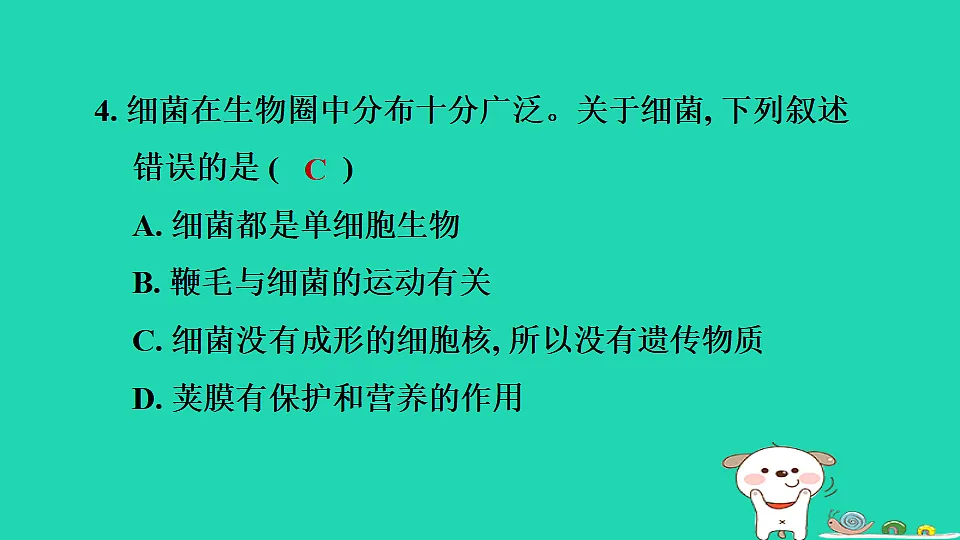 2025七年级生物上册第二单元生物的多样性第二章微生物第二节细菌习题课件冀少版(含答案)第6页