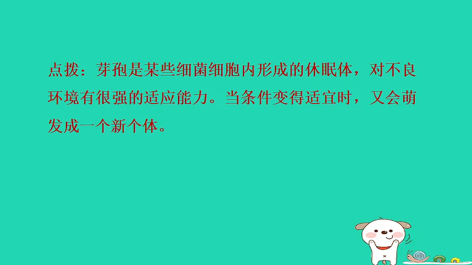 2025七年级生物上册第二单元生物的多样性第二章微生物第二节细菌习题课件冀少版(含答案)第8页