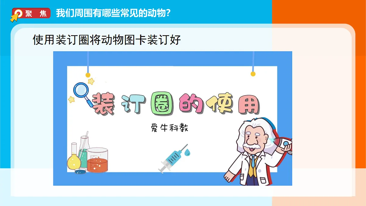 2026年教科版一年级科学下册 2-1《我们周围的动物》课件第3页