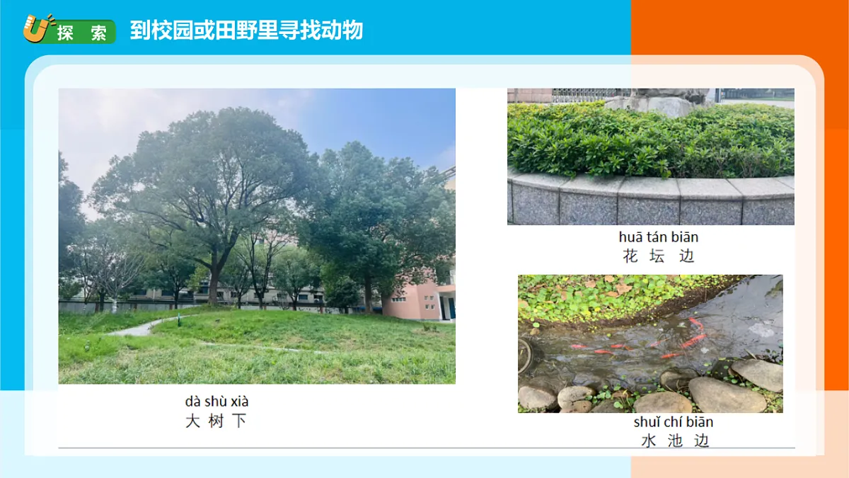 2026年教科版一年级科学下册 2-1《我们周围的动物》课件第4页