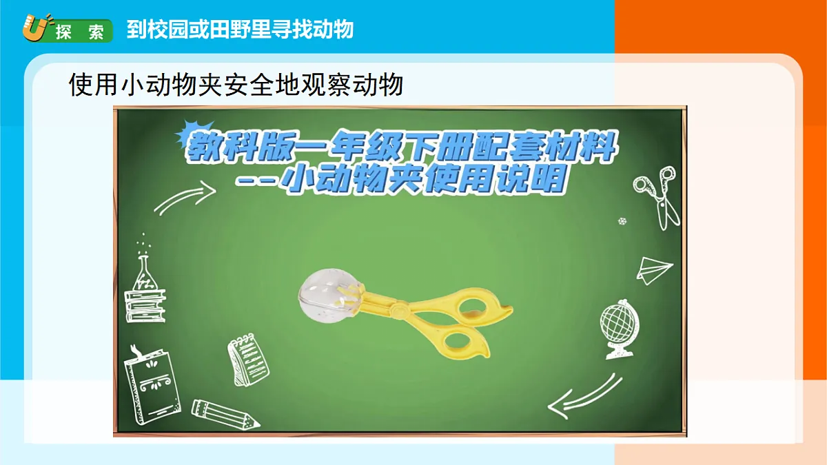 2026年教科版一年级科学下册 2-1《我们周围的动物》课件第5页