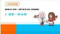 科学一年级下册(2024)观察一种动物备课课件ppt