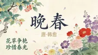 人教部编版（2024）七年级下册（2024）晚春图文课件ppt