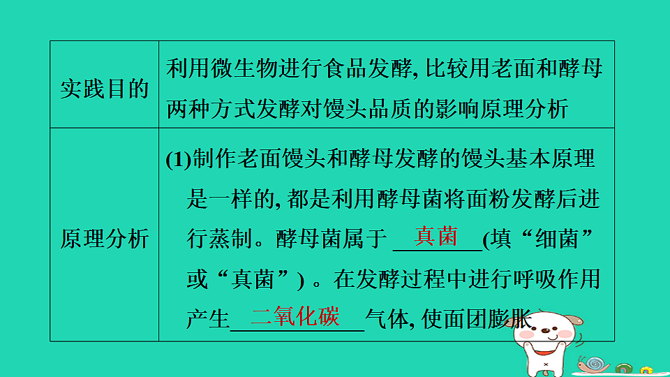 2025七年级生物上册第二单元生物的多样性跨学科实践活动二习题课件冀少版(含答案)第4页
