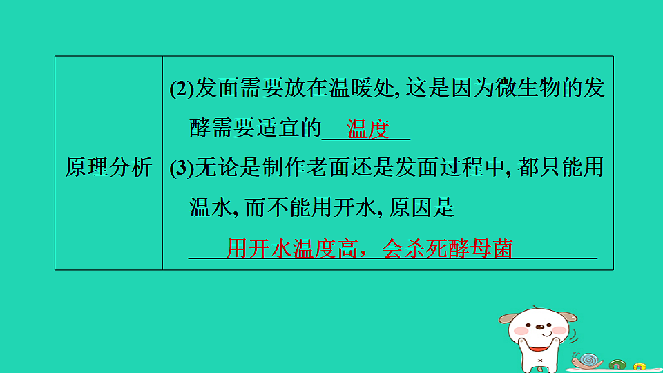 2025七年级生物上册第二单元生物的多样性跨学科实践活动二习题课件冀少版(含答案)第5页