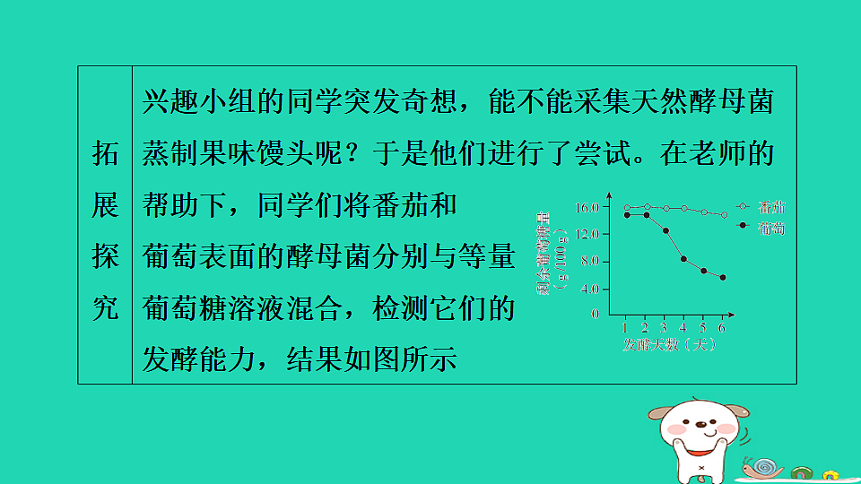 2025七年级生物上册第二单元生物的多样性跨学科实践活动二习题课件冀少版(含答案)第8页