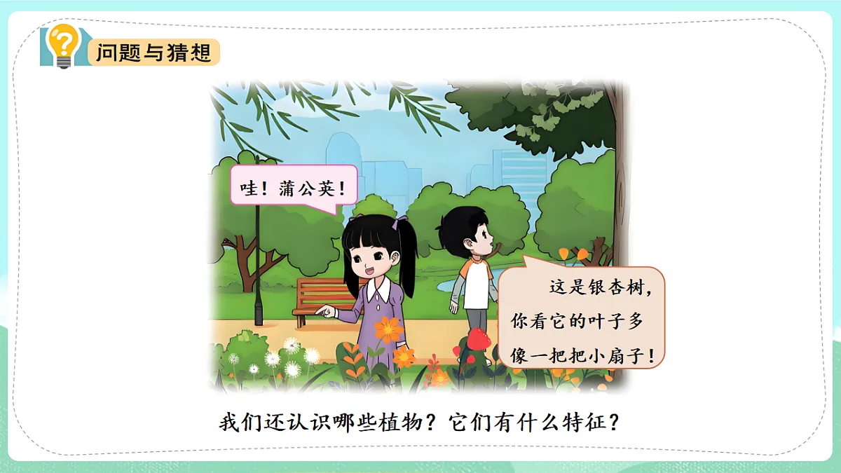 17835898第4页