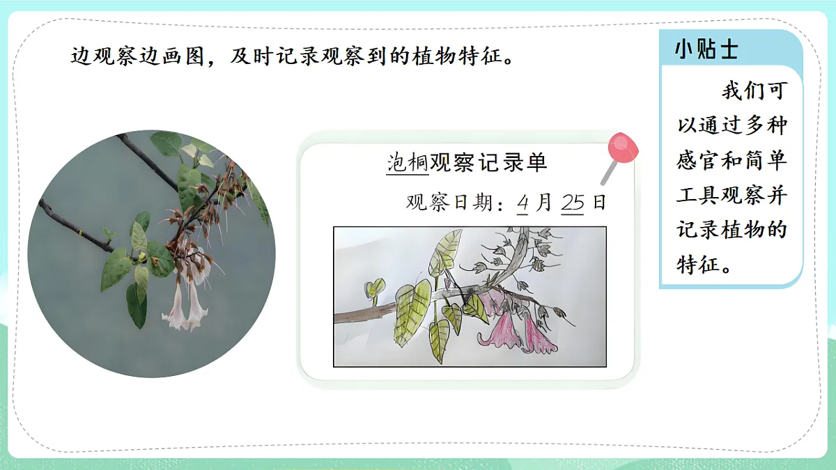 17835898第7页