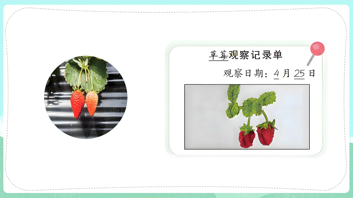 17835898第8页