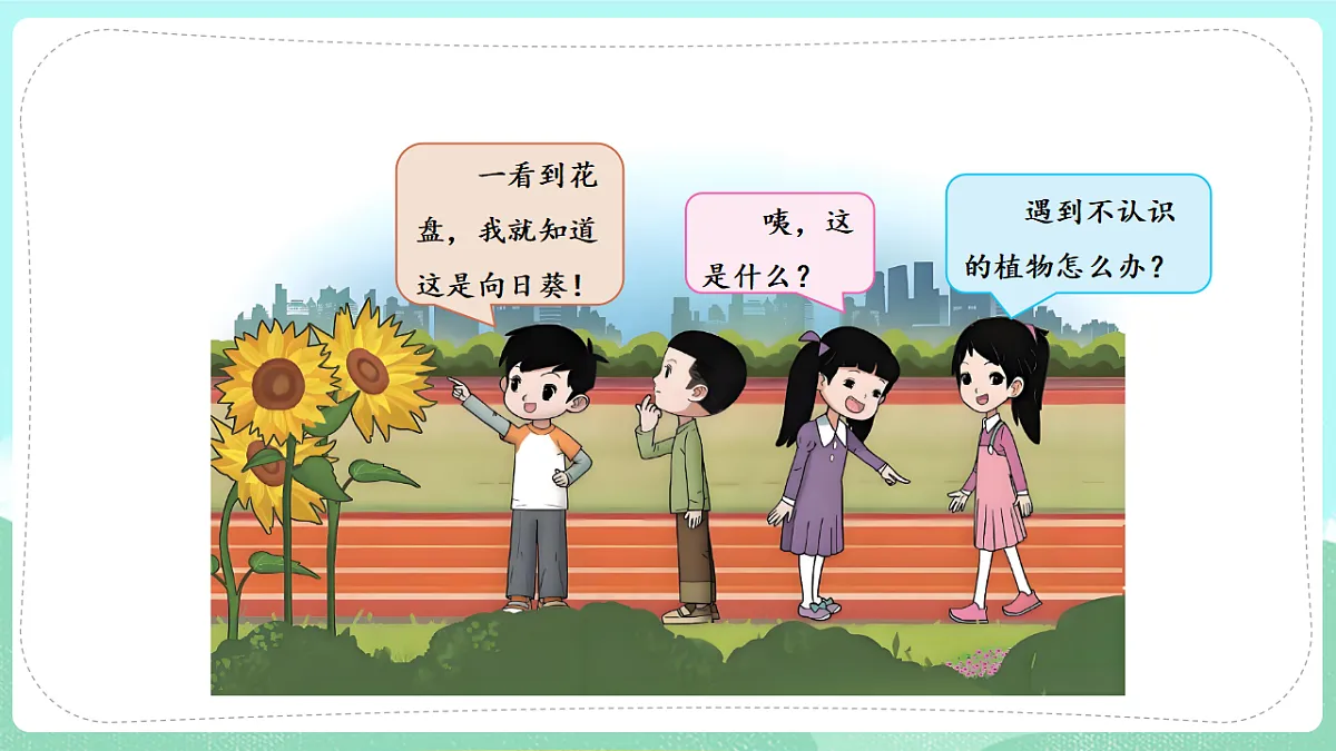 17835899第3页