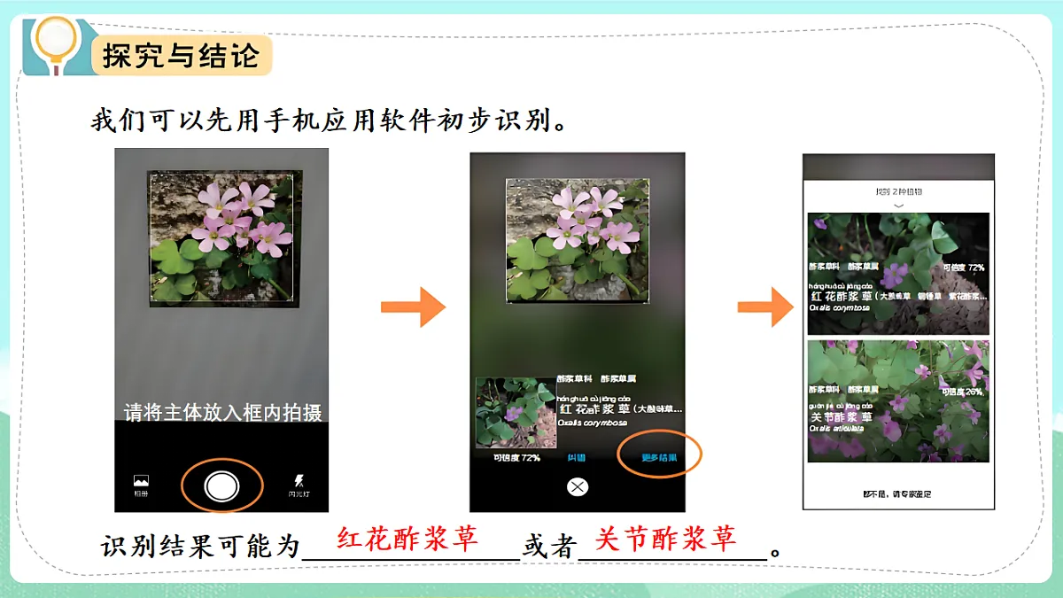 17835899第7页