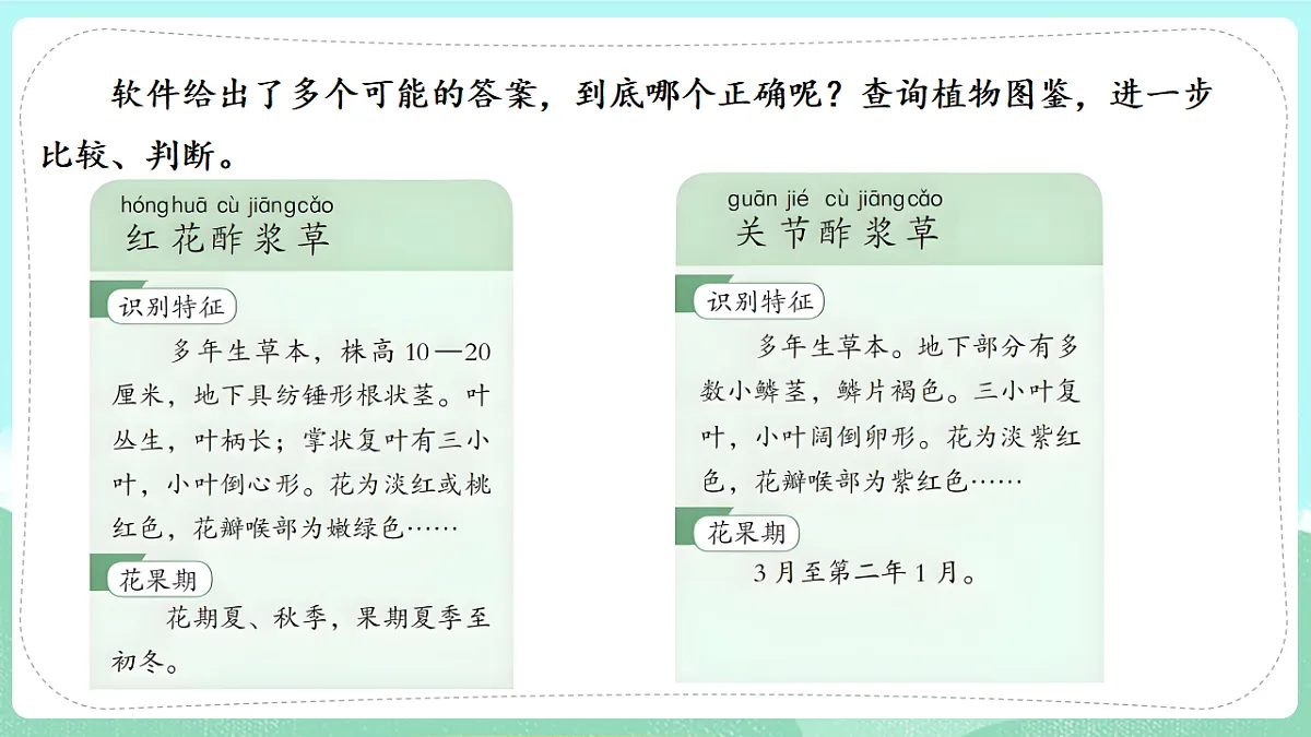 17835899第8页