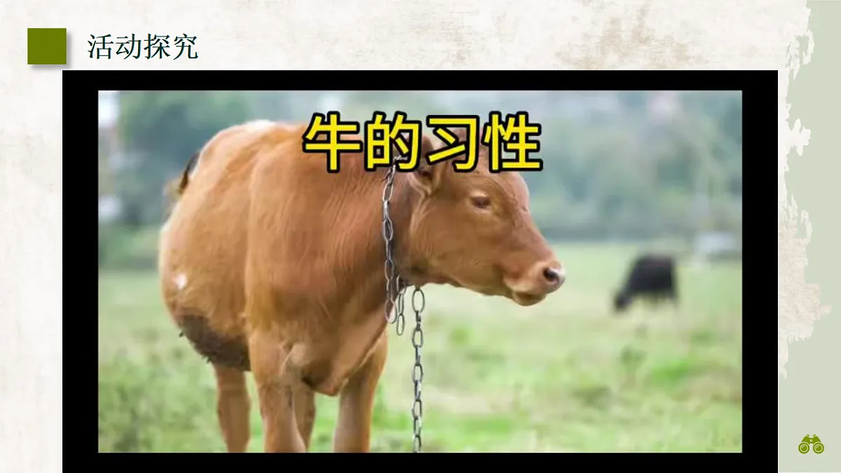部编版语文七年级上册第五单元任务二《亲近动物,丰富生命体验》课件第8页