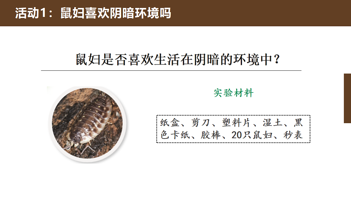 人教鄂教版小学科学六年级下册 2 动物对环境的适应 课件第5页
