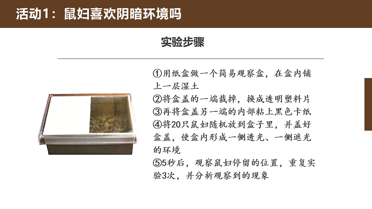 人教鄂教版小学科学六年级下册 2 动物对环境的适应 课件第6页