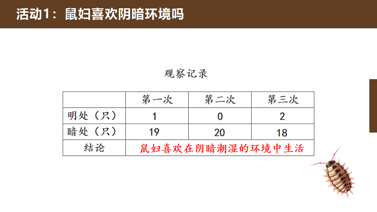 人教鄂教版小学科学六年级下册 2 动物对环境的适应 课件第7页