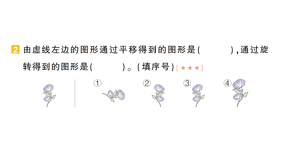 小学数学新人教版三年级下册期末第一轮复习第1天 生活中的运动现象作业课件(2026春)(放映显示答案)第3页